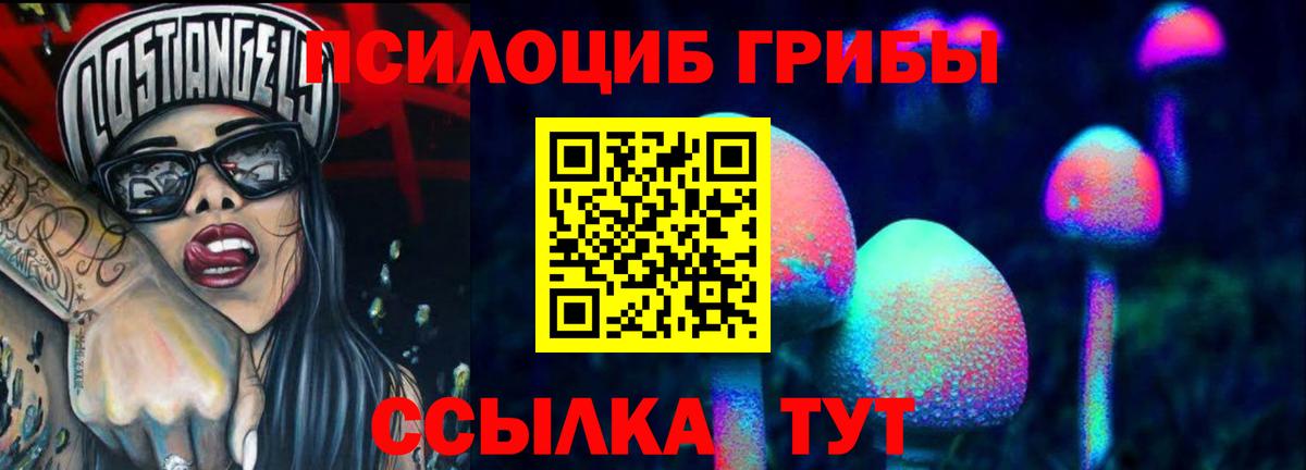 Тимашёвск  Галлюциногенные грибы Psilocybe  Вход с VPN  Псилоцибиновые грибы MAGIC MUSHROOMS 